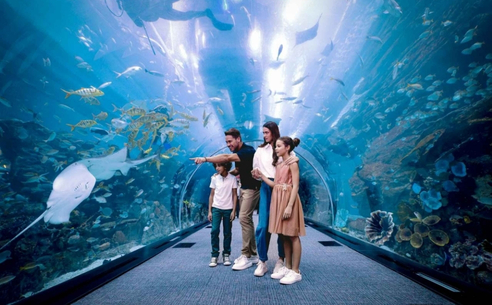 Dubai Aquarium